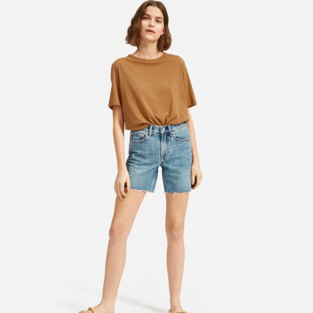 Everlane The Denim Short Size 30